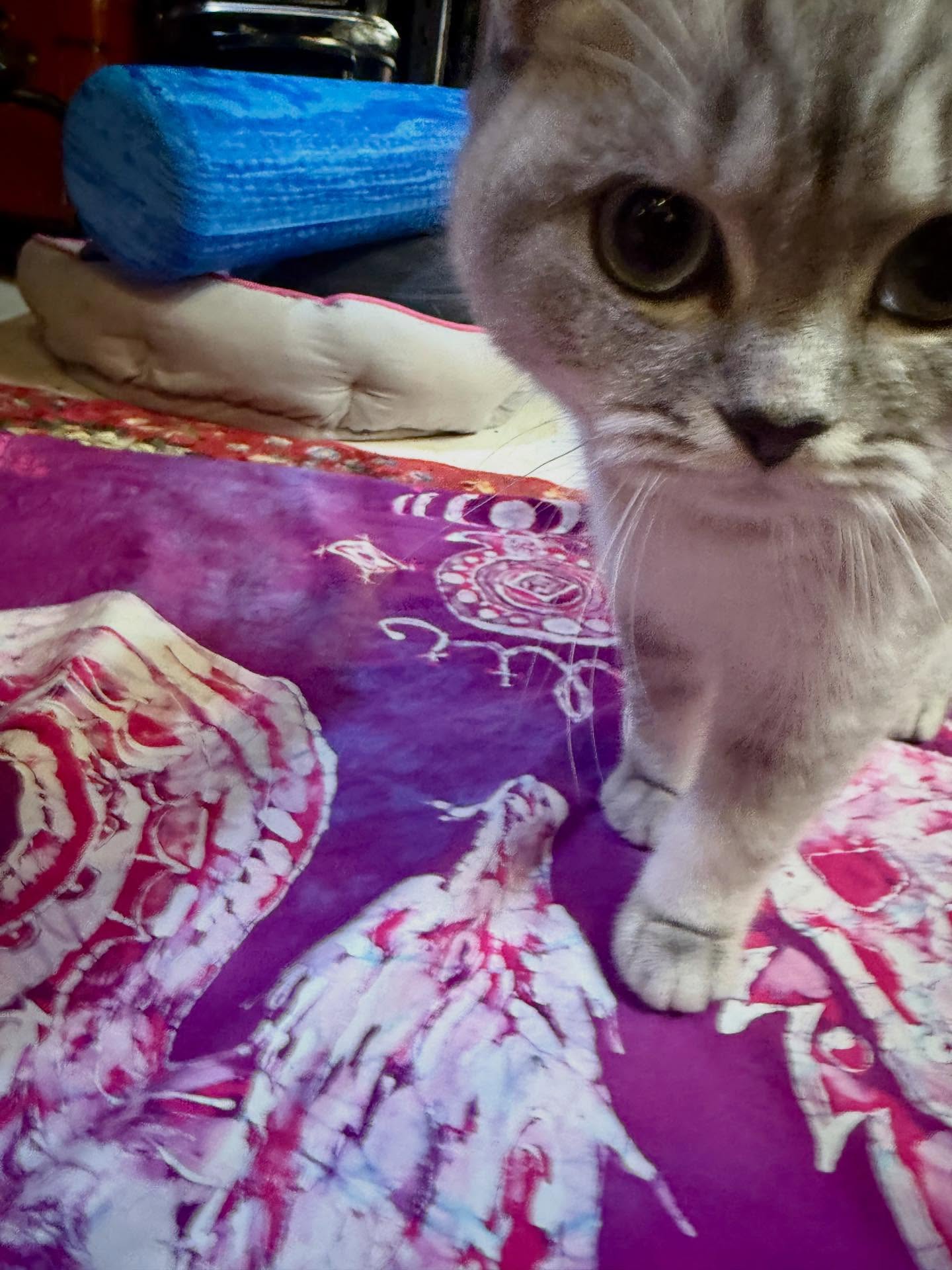 CUSTOM BATIKED CLOTH for Sewing