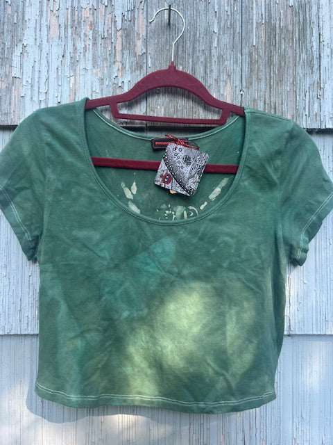 Gold Dragon on Sage Green Crop Top